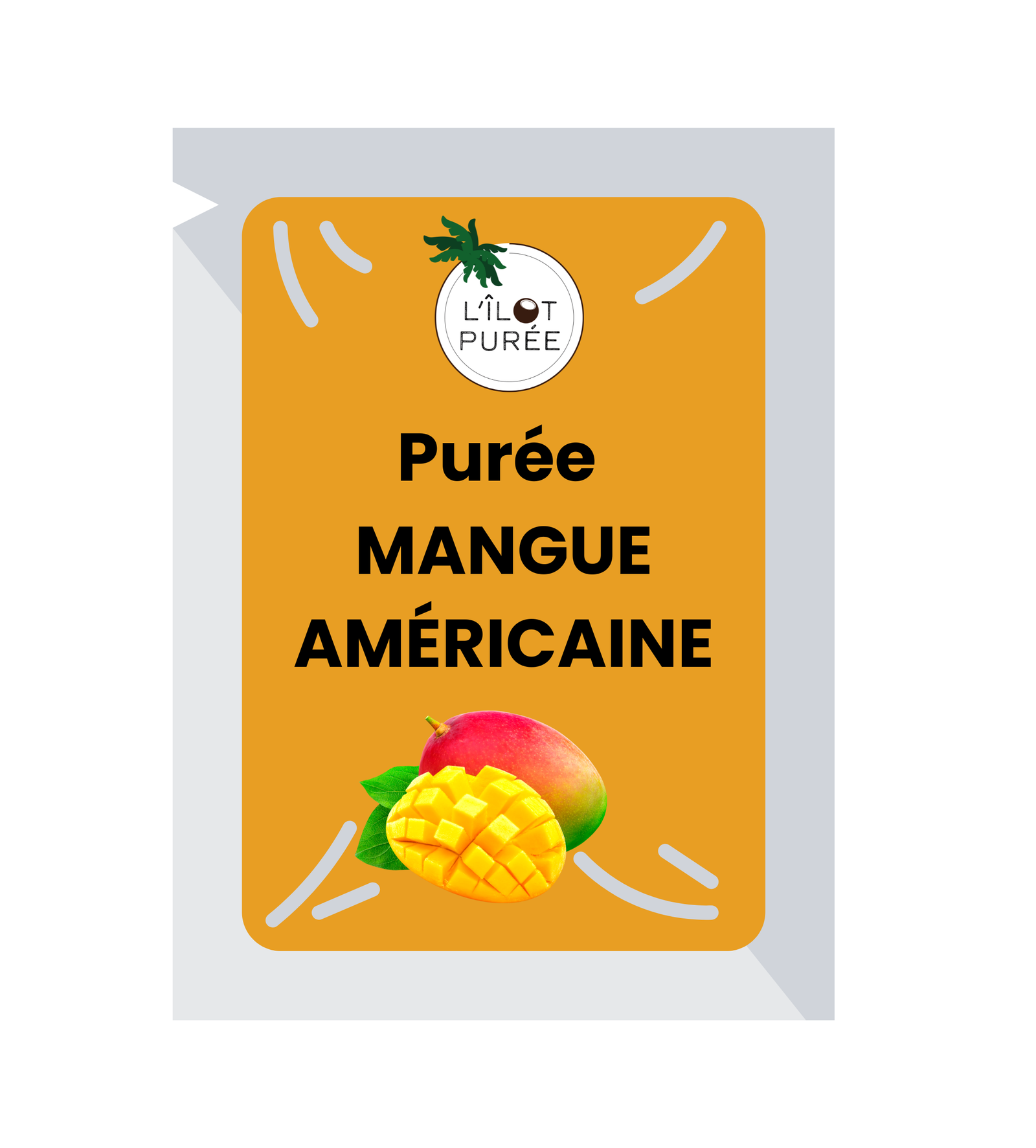 Purée de fruits mangue américaine 974